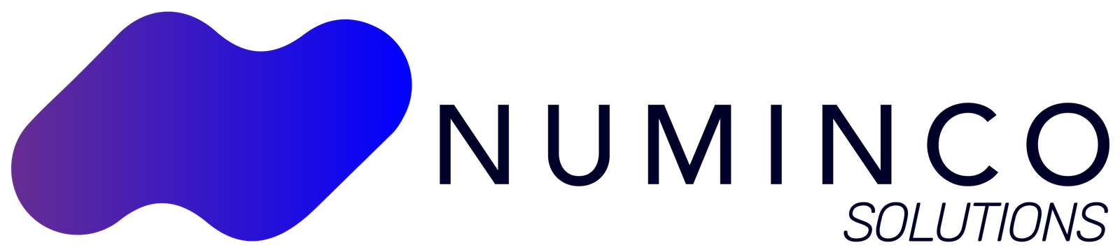 numinco.solutions